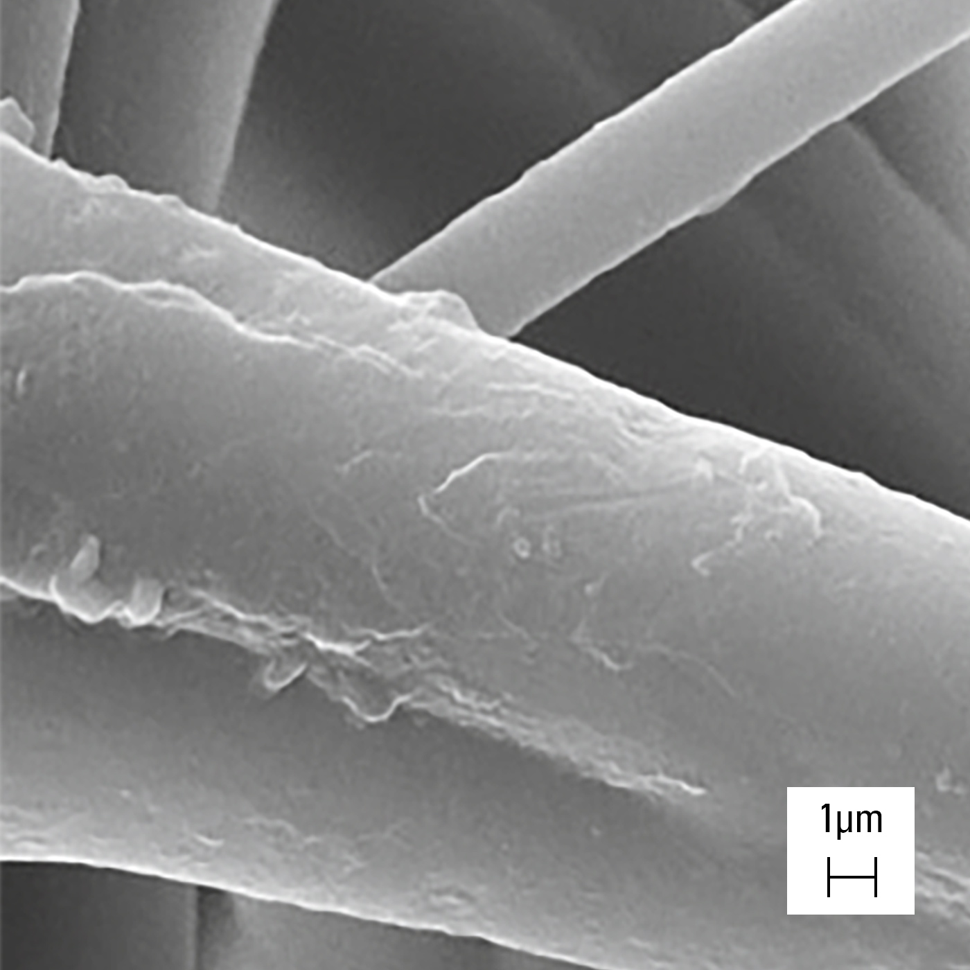 Filament structure of an H14 filter under the scanning electron microscope