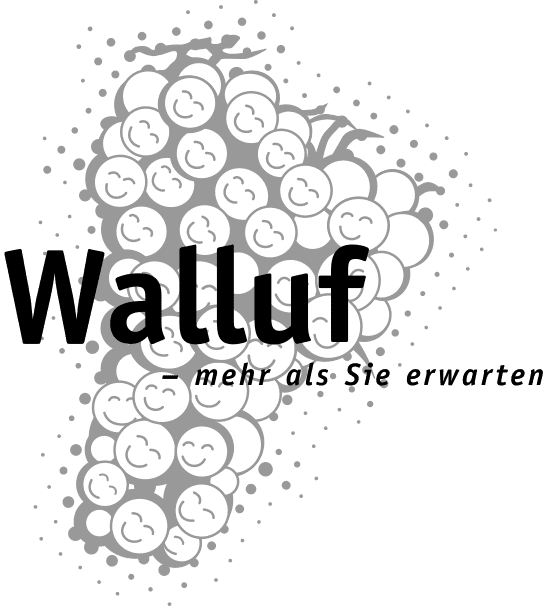 Gemeindevorstand-Walluf