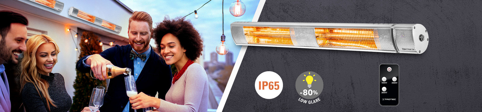 Infrared radiant heater IR 3050