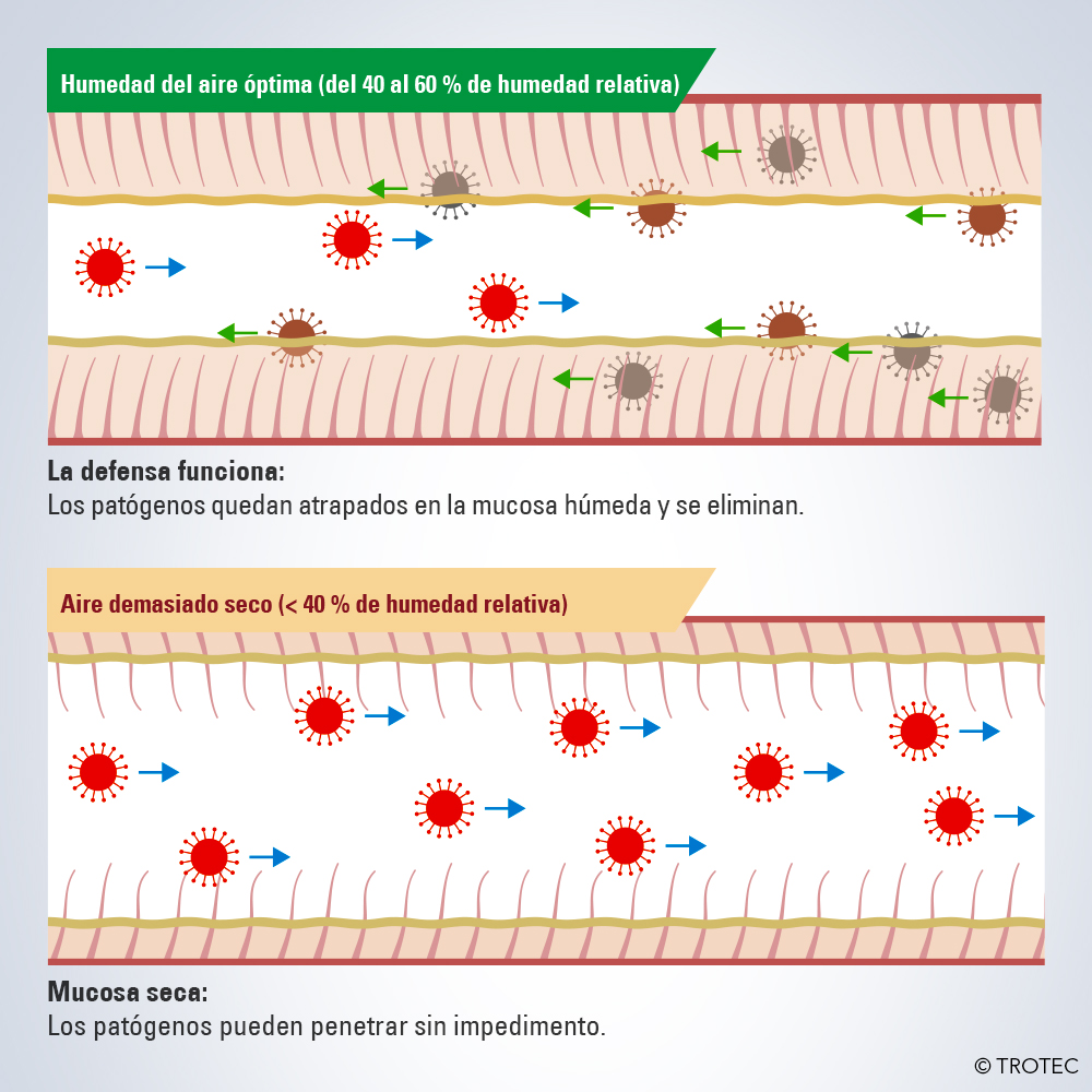 Las mucosas deben estar bien humedecidas