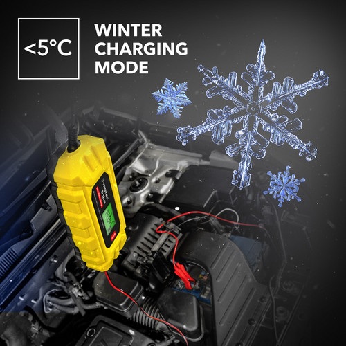 PBCS 4A - Winterladebatterie