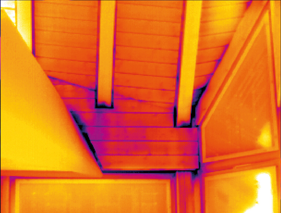 Thermografie mit der XC600