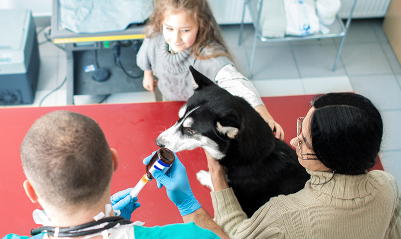 Veterinärmedizin-Trotec