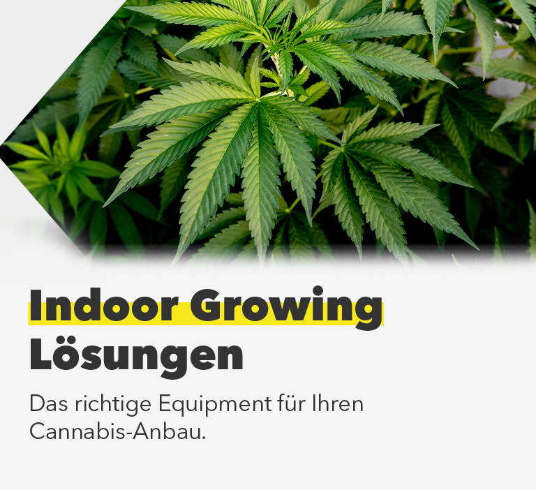 Indoor Growing Lösungen - Das richtige Equipment für Ihren Cannabis-Anbau.