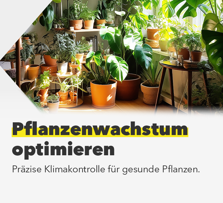Pflanzenwachstum optimieren - Präzise Klimakontrolle für gesunde Pflanzen.